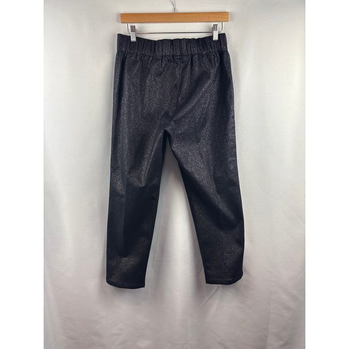 Women’s Soft Surroundings Petite Large Black & Silver Pleated Pants