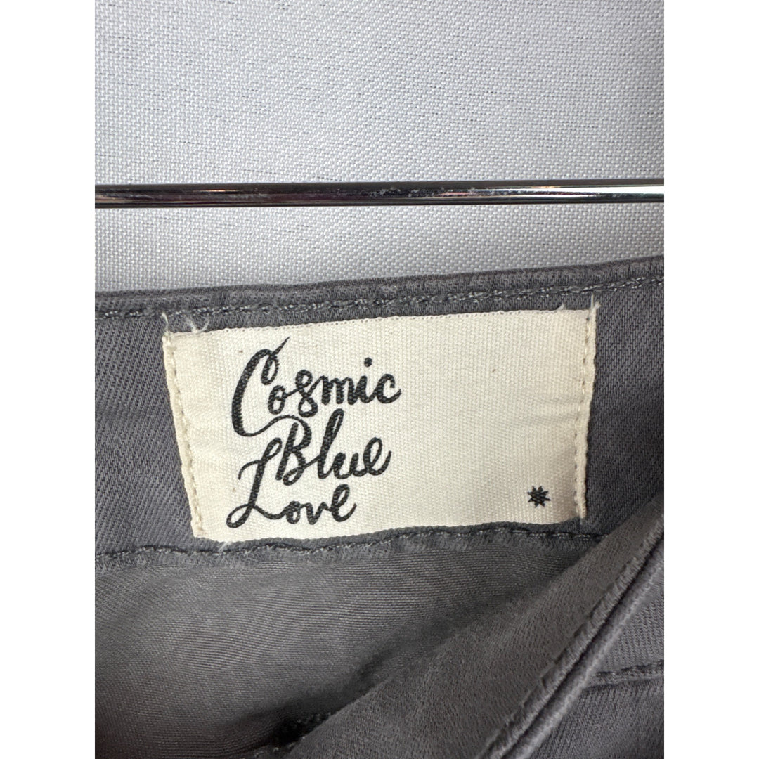 Cosmic Blue Love Gray Cargo Pants Size 28P With Zipper Pockets & Back Pockets