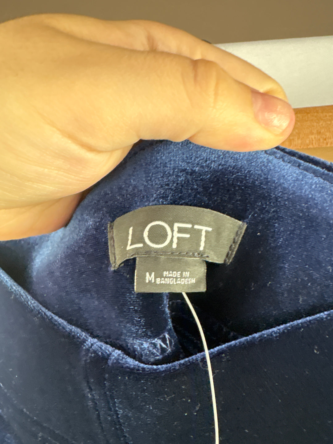 Women’s Loft Medium Sapphire Blue Velvet Leggings