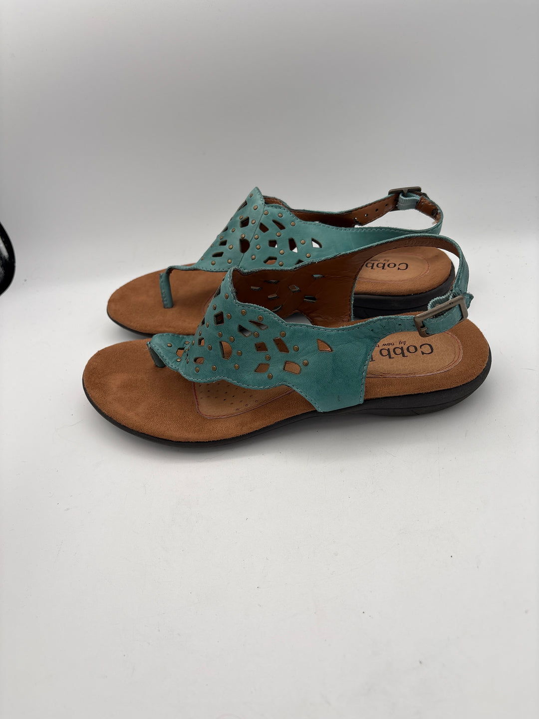Women’s Colby Hill Size 8.5 Teal Leather Thong Sandals