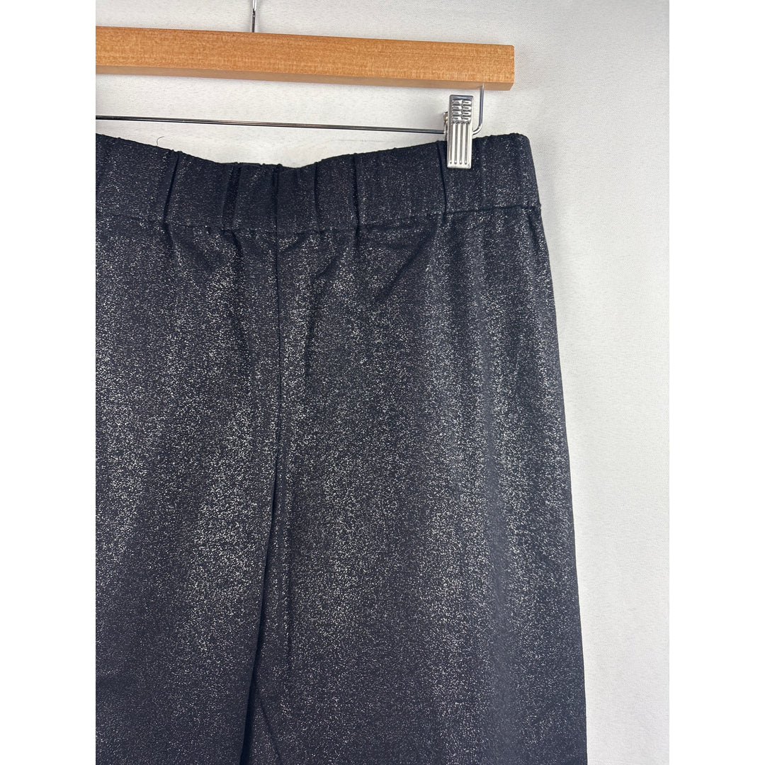 Women’s Soft Surroundings Petite Large Black & Silver Pleated Pants