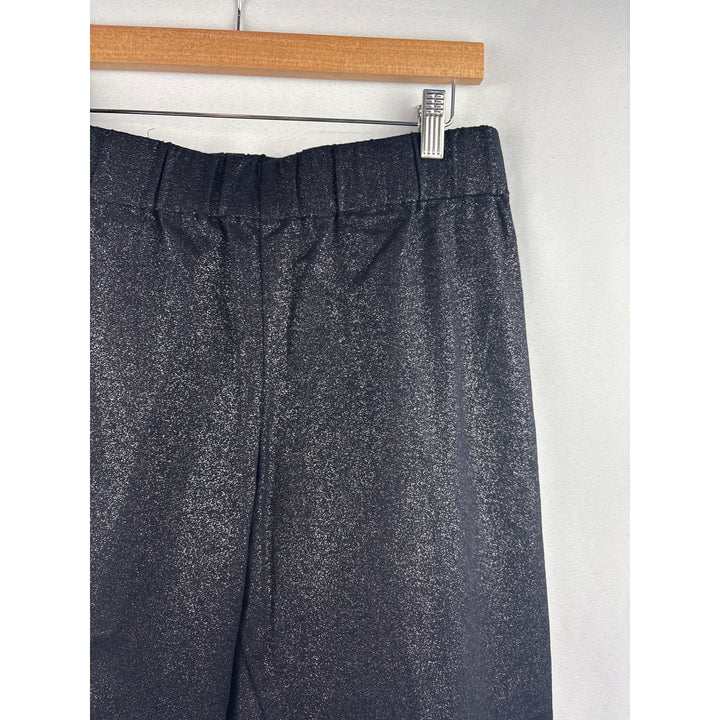 Women’s Soft Surroundings Petite Large Black & Silver Pleated Pants