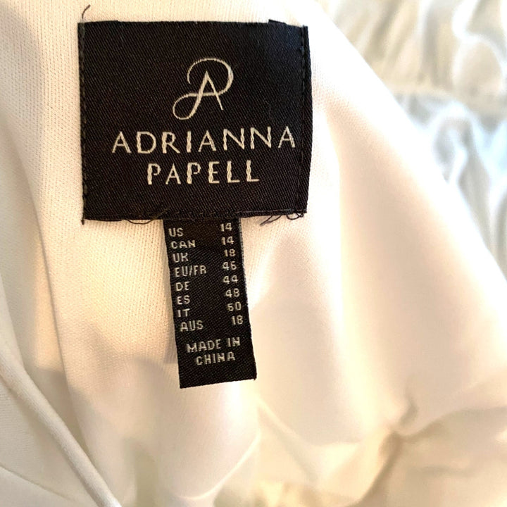Adrianna Papell Special Occastion Dress