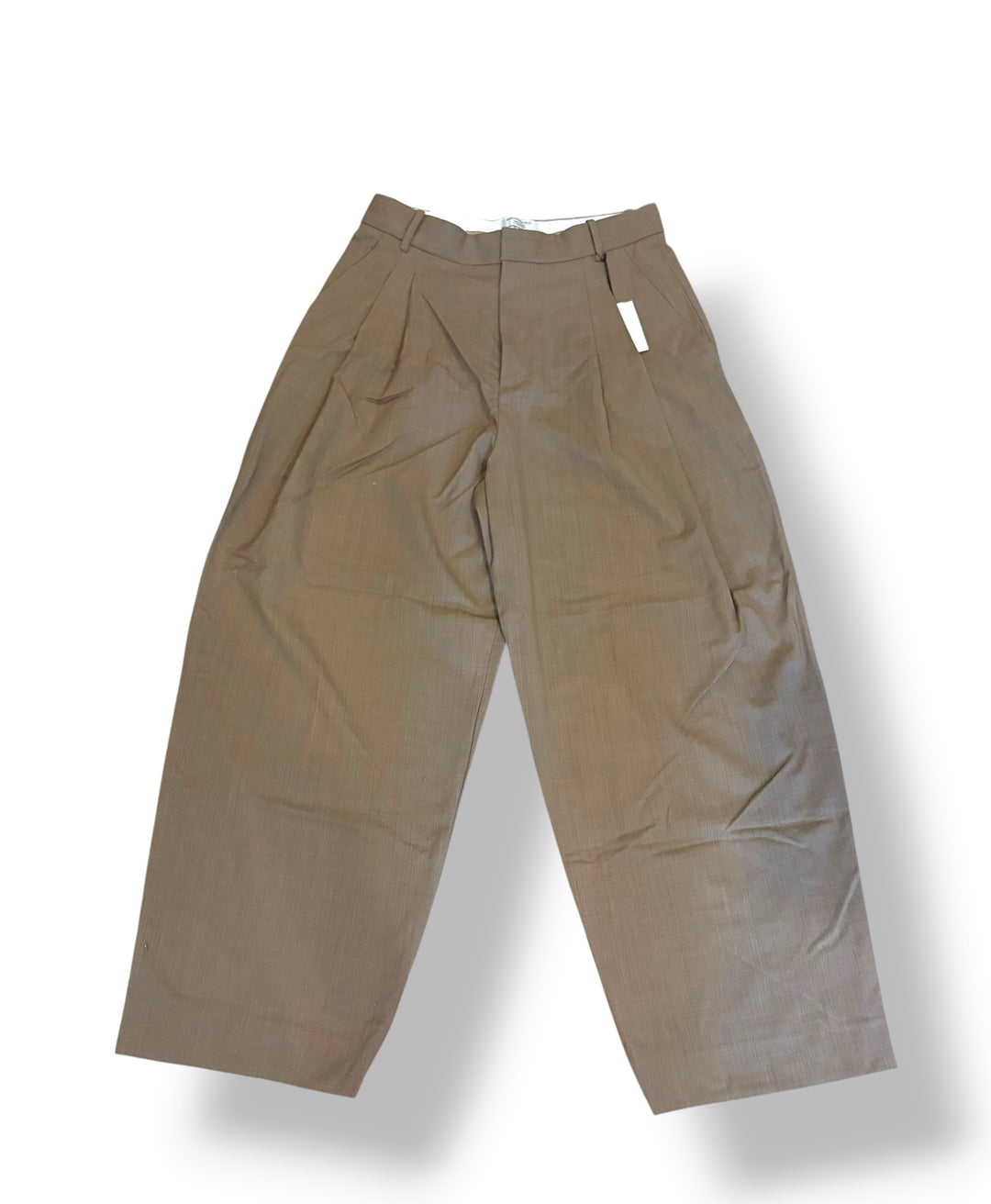 Banana Republic Tan Wool Wide Leg Pleated Pants Size 10 NWT High Rise Dark Academia